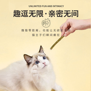 Bâtonnets de menthe pour chat, bâtonnets de fruits, lot de 6, haleine fraîche, jouet interactif à mâcher pour chat - Product Image 4
