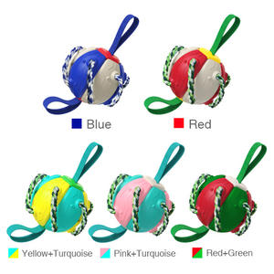 Pet malzemeleri fabrika şirket üreticisi oyuncak üreticisi köpek/köpek/köpek oyuncak oyunu sinek topu disk topu - Product Image 5