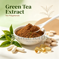 ActivaHerbs Extrait de thé vert naturel soluble dans l'eau, 60% 98% de polyphénols de thé