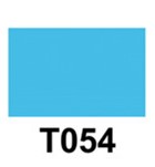 T054