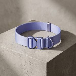 Collare per Animali Domestici Personalizzato, Resistente, Semplice, Imbottito, Regolabile in Poliestere per Cani e Gatti, per Passeggiate Quotidiane e Attività all'Aperto - Product Image 1