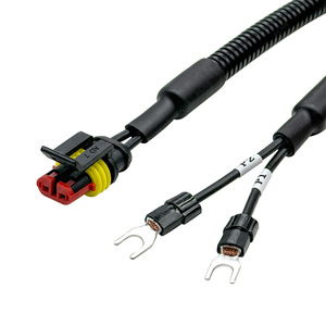 สายเชื่อมต่อไฟ LED สำหรับรถยนต์แบบกำหนดเอง 2 ขา แบบ Simm สีดำ PVC กันน้ำ สำหรับไฟรถยนต์ - Product Image 2