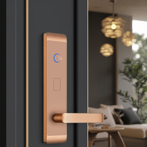 Cerradura inteligente de aleación de aluminio de gama alta de tecnología <span class=keywords><strong>Frontier</strong></span> para desbloqueo de teléfono móvil tarjeta de memoria multifuncional de seguridad moderna - Product Image 5