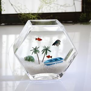 Creatieve en gepersonaliseerde glazen aquariums voor vissen, geometrische pentagonale miniatuur aquariums, zeer transparante desktop aquariums - Product Image 6