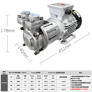 Bomba Magnética de Acero Inoxidable Lcy5281 de 1.5kw 2.2kw, Bomba de Vórtice para Aceite Térmico con Accionamiento Eléctrico, de -100 a 350 Grados Celsius - Product Image 5