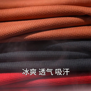 Promotional Polo Shirt Nylon Solid Color Quick-Dry Custom Logo Workwear Leisure Wear - Product Image 2