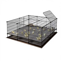 Cage de poulailler robuste en fer, grande cage d'élevage intérieure en treillis métallique pour poussins, cailles et canards - Élevage sécurisé toute saison, sans évasion