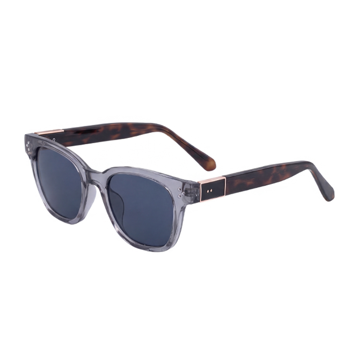 C5 Transparency Green Frame Gray Blue