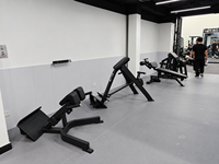 Banc d'hyperextension à 45 degrés SK Commercial Gym pour entraînement de la colonne vertébrale, équipement de fitness pour clubs et studios