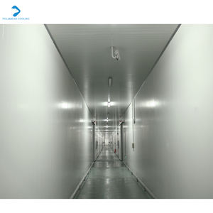 Cámara fría para cultivo y cultivo de setas con enfriador de unidad de equipo de refrigeración - Product Image 6