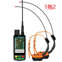 Traceur GPS pour chien de chasse, clôture électronique, carte en ligne en temps réel, téléchargement de carte hors ligne, historique des trajets, collier avec contrôle par application