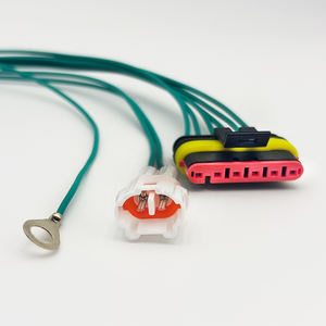 5P 9p定制防水线束DJ7026-2-11/21 DJ7061-1.5-11/21 DJ7031-1.5-11/21 DJ7022Y-2.3 DJ7091Y-2.3-11/21 OEM ODM - Product Image 2