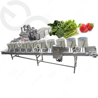 Fruit Groente Wassen Verwerking Avocado Apple Oranje Citroen Wassen Drogen En Waxen Apparatuur