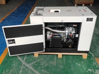 Groupe électrogène silencieux à double carburant Binshi Power 12KW 13KW 15KW 20KW GPL Gaz naturel Essence Générateur électrique pour la maison