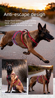 Harnais pour chien Gradient, anti-évasion et anti-traction, boucle sécurisée pour races moyennes et grandes, vente en gros en vrac