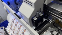 Impresora UV Comercial Todo en Uno de Rollo a Rollo para Etiquetas, Impresión de Alta Eficiencia de Códigos de Barras, Códigos QR y Texto Fino con Sistema Automático de Tinta Blanca