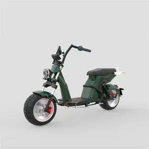 CEE COC moto elétrica Cicomotor 2000w 60v 20ah 40ah Scooter 45 km/h Motocicleta Elétrica citycoco para adultos