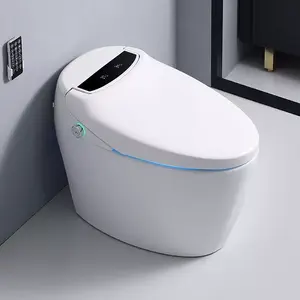 Wholesale High Quality Automatic Bathroom Europe Floor Mounting Smart Intelligent Toilet