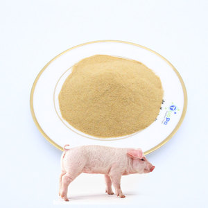 Bột chất xơ cao dinh dưỡng thức ăn số lượng lớn vật nuôi động vật chăn nuôi bột thực phẩm lớp brewer men - Product Image 2