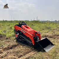 Meistverkaufter Bison Mach XC1100 Mini-Kompaktlader, Italienische Hansa Geschlossene Hydraulische Kolbenpumpe, Zweikanal-Ausgang
