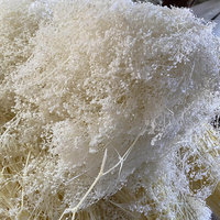 Bunga Gypsophila Kering Warna Cerah untuk Dekorasi Rumah, Natal, Wisuda, Abadi, Harga Pabrik, Keuntungan Harga
