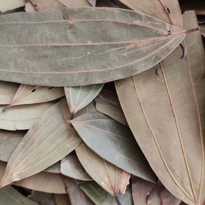 <span class=keywords><strong>Feuilles</strong></span> <span class=keywords><strong>de</strong></span> <span class=keywords><strong>Laurier</strong></span> Fraîches <span class=keywords><strong>de</strong></span> Qualité Supérieure Entières - Product Image 3