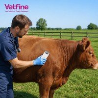 Veteriner Ultrason Kablosuz El Tipi Tarayıcı Taşınabilir Prob Sığır At Çiftliği Kliniği İçin