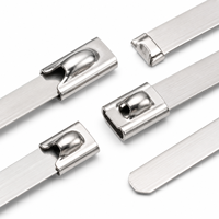 Attaches-câbles en acier inoxydable 304 argenté de 4,6 mm x 100 mm pour regroupement industriel (vente en gros)