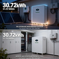 Baterai Lithium 51.2V 48V 600Ah 30kWh untuk Sistem Surya Hibrida, Tipe Lantai dengan Roda
