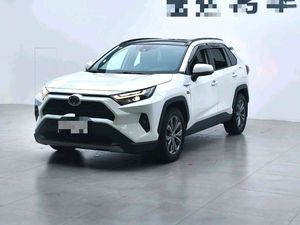 Auto Usate Toyota Corolla, Camry, RAV4 Hybrid di Alta Qualità per Esportazione Globale - Fornitore di Veicoli di Seconda Mano - Product Image 2