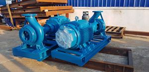 Industriële Hoge Capaciteit Blote As Gietijzeren Antieke Hand Horizontale Centrifugaal Waterpomp - Product Image 4