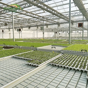 <span class=keywords><strong>Serre</strong></span> agricole intelligente multi-chapelles à double couche <span class=keywords><strong>en</strong></span> film PE, économique, pour culture toute l'année et contrôle de la température - Product Image 4