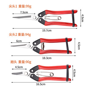 Stainless Steel Garden Shears Bypass Pruner Red Plastic Handle Manual <b>Pruning</b> <b>Tool</b> For Fruit <b>Tree</b> Grafting And Flower - Product Image 2