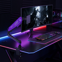 Support d'écran Zeno Wholesale pour moniteur 17-42 pouces, pour ordinateur, PC, jeux, équipement hôtelier, rétroéclairage RVB, port USB, compatible VESA 100x100