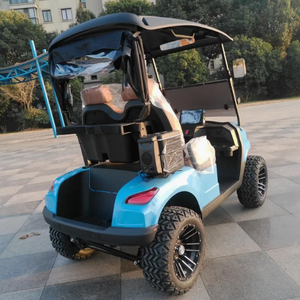 Nuevo Buggy de Golf Eléctrico de Fábrica, 2 Plazas, Todoterreno, Homologado para Calle, Batería de Litio de 24V, 5KW, Capacidad de Carga de 300kg - Product Image 6