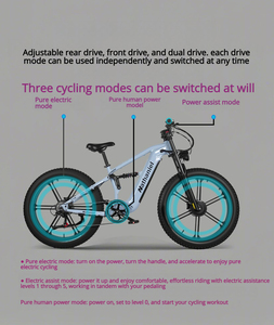 Bicicleta de Montaña de Doble Motor de 26 Pulgadas y 2000W, Bicicleta Eléctrica con Batería de Alta Capacidad para Exteriores y Aventuras WHL-tb4500 con 26 Pulgadas - Product Image 3