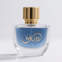 Flacons de parfum carrés en verre rechargeables avec pulvérisateur, diffuseur à bâtonnets, bouchon doré, conception personnalisée, sérigraphie de haute qualité