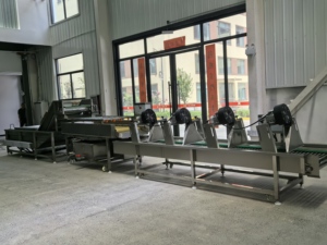 Ligne de transformation d'<span class=keywords><strong>avocat</strong></span> GUTEDA - Usine clé en main certifiée CE ISO, du fruit frais à l'extraction d'huile pure, de jus et de pulpe - Product Image 5