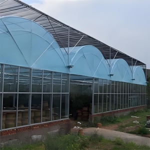 Hot Selling Large Multi-Span Landwirtschaft liches Gewächshaus Aluminium PE Kunststoff Tertilien Gewächshaus für Tomaten Obst Gemüse Pflanzen - Product Image 2