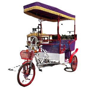 Vélo à trois roues à propulsion humaine, style vintage européen, pour le tourisme, multi-places, personnalisable, à prix abordable - Product Image 1