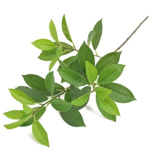 Branche de <span class=keywords><strong>laurier</strong></span> artificielle réaliste, feuilles vertes brillantes pour arrangements floraux - Product Image 3