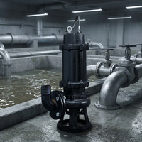 Personnalisation OEM, pompe submersible électrique en acier inoxydable pour eaux usées, diverses spécifications industrielles WQ