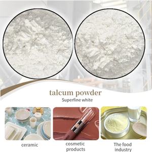 ZF Ultrafeines Weißes Talkumpulver Wird Als Hauptpigmentfüller in Beschichtungen Verwendet, um die Glätte der Beschichtungsschicht zu Verbessern - Product Image 5