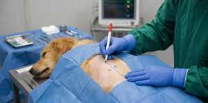 Latex Free Medical Marker Anti Abrasion Ink - Product Image 1