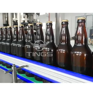 Fabrication de bouteilles en verre Usine de remplissage Machine d'embouteillage de verre de bière Machine de production de capsulage de remplissage de boissons gazeuses