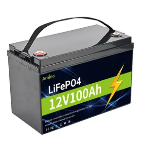 Batteria ricaricabile agli ioni di litio a ciclo profondo di fabbrica 50Ah 200Ah 100Ah 24V 12V batteria Lifepo4 per carrelli da Golf solari Rv