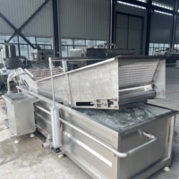 Gloednieuwe automatische industriële fruit- en groenteverwerkingslijn, schone groenteverwerkingslijn