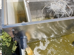 Machine de ramassage de débris flottants Gulan pour la purification des lacs, rivières et étangs - Product Image 4