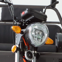 Tricycle électrique 800W, capacité de charge 300 kg, batterie au plomb-acide 60V, mini tricycle électrique de transport, petit et efficace pour le transport
