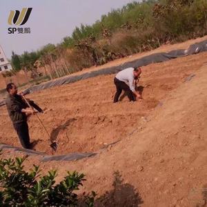 SP Haute Performance 60-400 Gsm Anti-âge Sable Couvre-sol Géotextile Tissé Tissu Bâche - Product Image 6